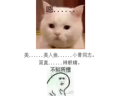 1501552539279263.png QQ截图20170801095219.png