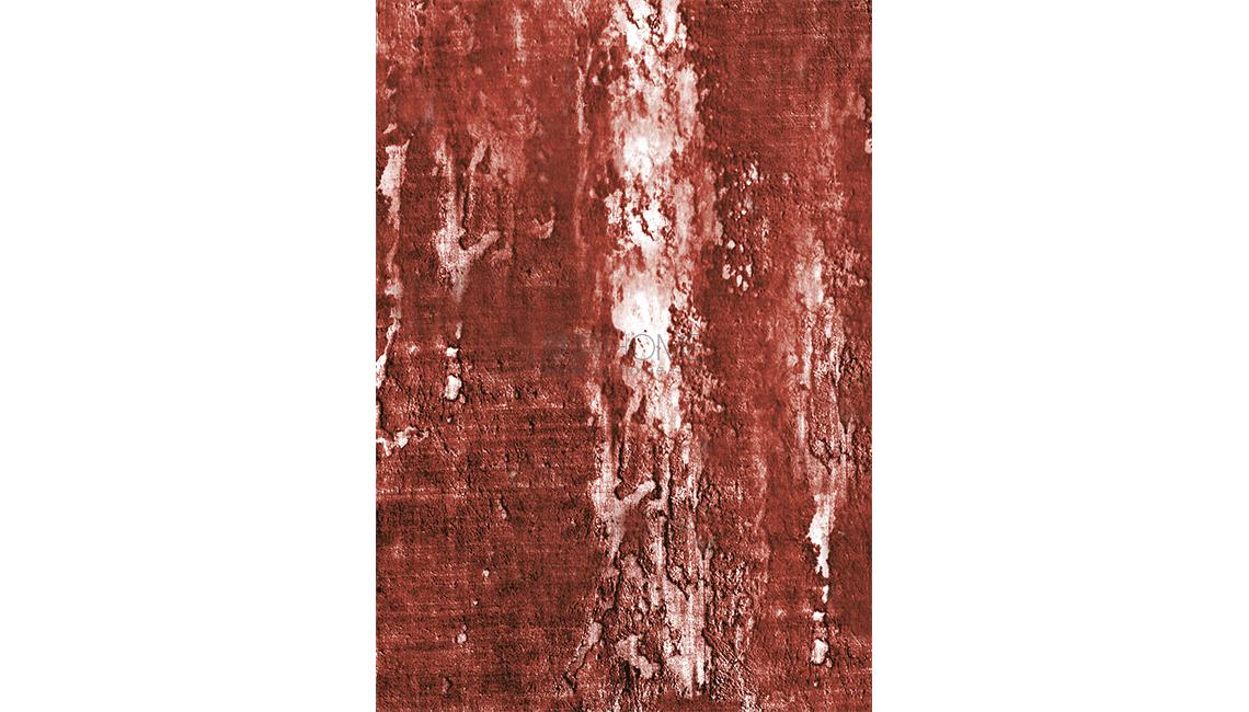 AD6109地毯