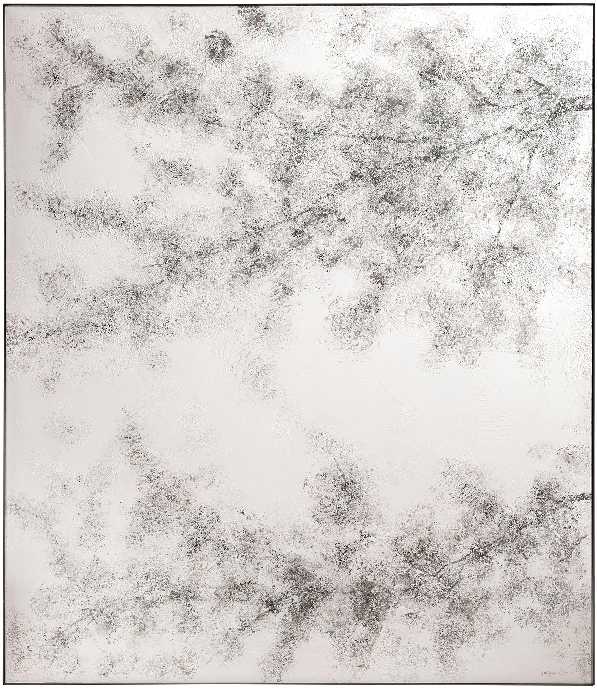 CANTORIFLOWERING LIGHT画