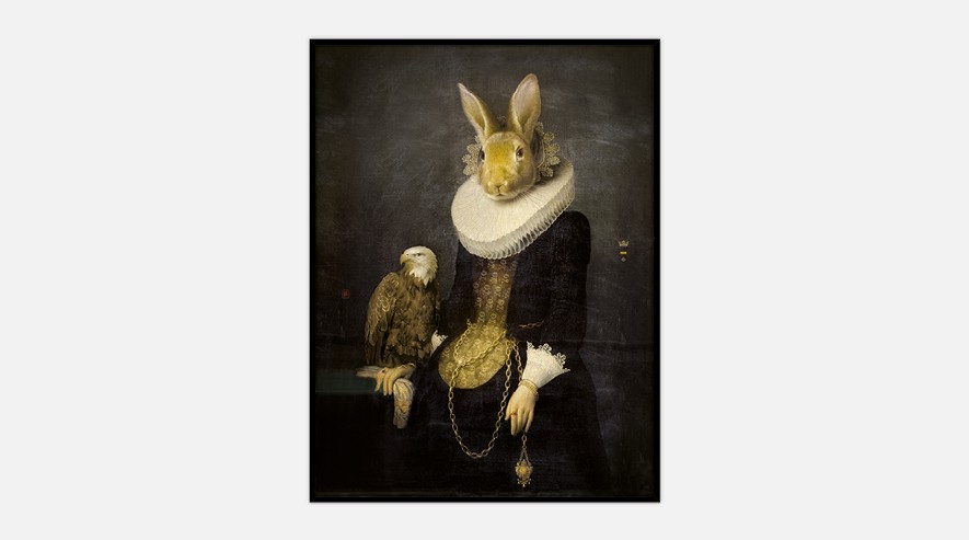 IbrideCollector portrait Zhao 画
